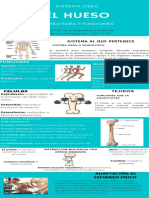 Infografia (Hueso)