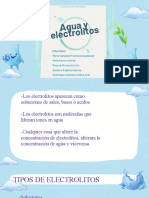 Exposicion Electrolitos
