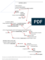 Sistemul_Aortic.pdf