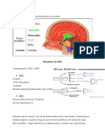 Aula 4 Urgencia e Emergencia