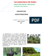 Clase 1 Agroforesteria