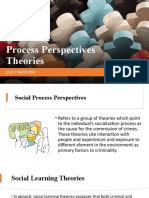 CS 102 (Lecture 8) Process Perspectives Theories
