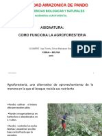 Clase _Como Funciona La Agroforesteria