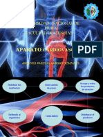 sistema cardiovascular