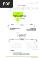 Apontamentos Português 1 - 10º Ano