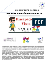 Discapacidad Visual