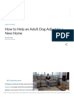 How to Help an Adult Dog Adjust to a New Home – American Kennel Club