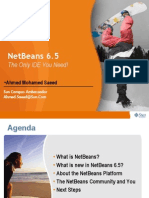 3 - Netbeans The Only IDE