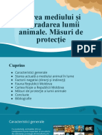 Degradarea Lumii Animale. Măsuri de Protecție