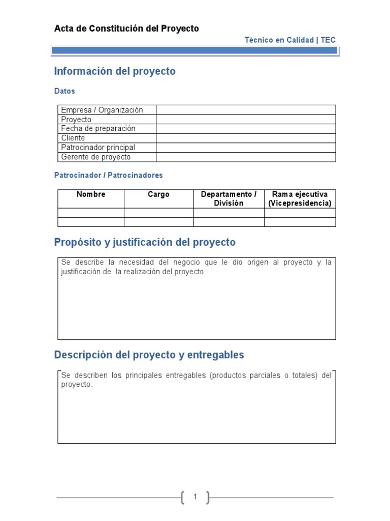 Plantilla Acta de Constitución Del Proyecto | Descargar gratis PDF ...