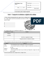 79278019-Teste-Ciencias-6º-ano