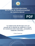 Criterios Jurisprudenciales (Conferencia Cámara de Amparo)