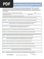 DiSC Profile Relationship Action Planner