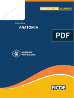 Anatomía