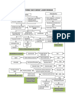 Pathway BBLR REVISI