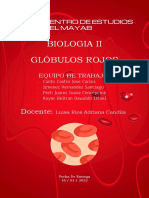 Globulos Rojos