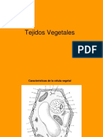 Clase 7 Tejidos Vegetales 2018