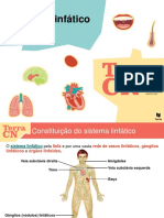 Sistema Linfático - 1