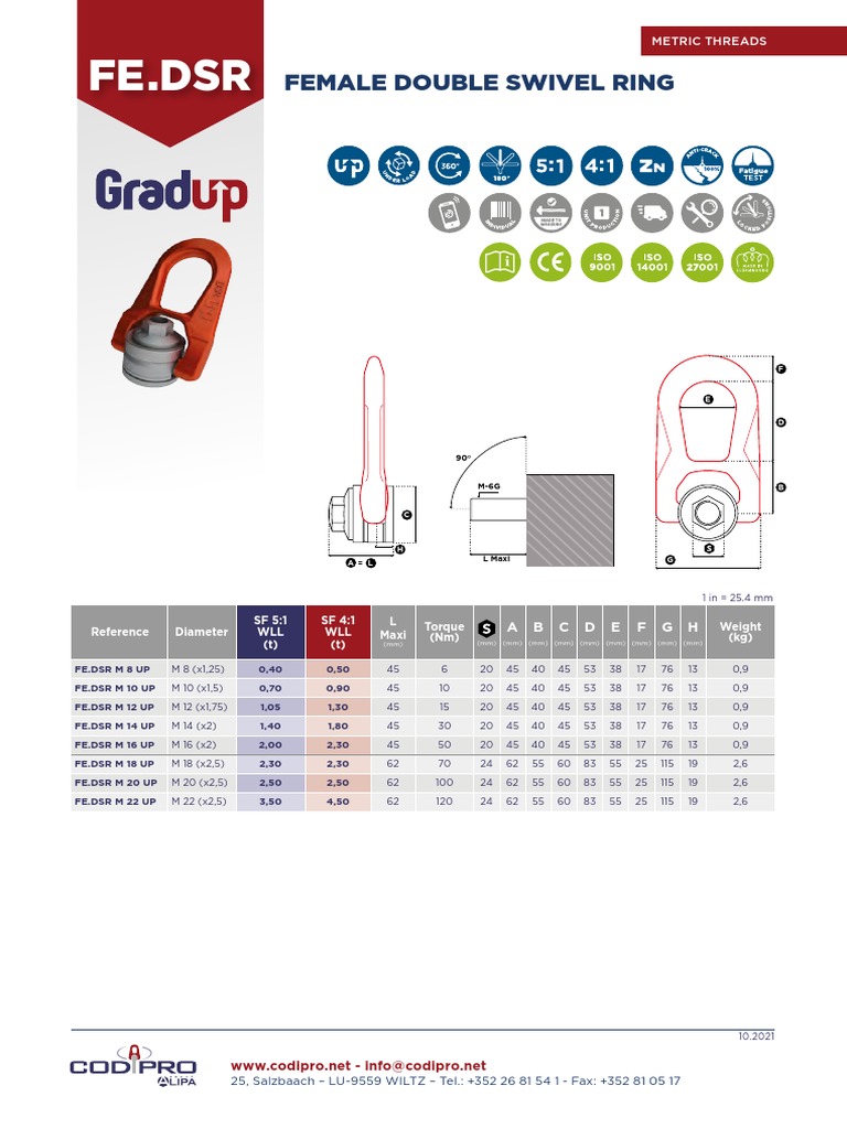 Fe DSR Female Double Swivel Ring PDF Metalworking Machining