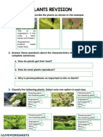 Plants Revision