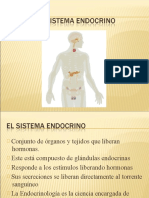 El Sistema Endocrino