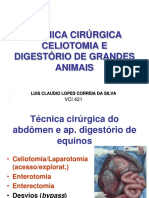 TÃCNICA_CIRÃRGICA_CELIOTOMIA_E_DIGESTÃRIO_DE_GRANDES_ANIMAIS