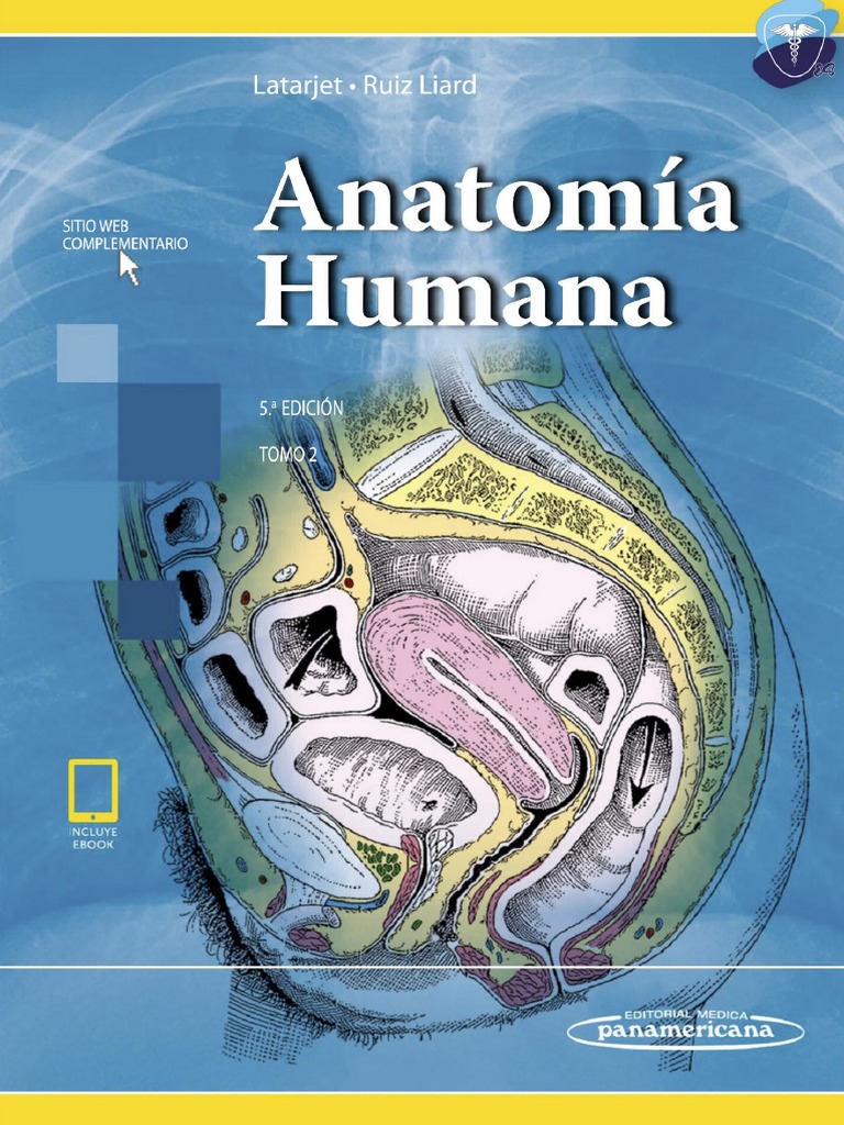 Anatomía Humana T2 Latarjet Ruiz Liard Pdf