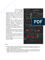 Anatomía Del Corazón