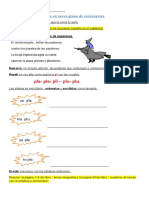 Pla-Ple - Pli - Plo - Plu.: Observá Leé