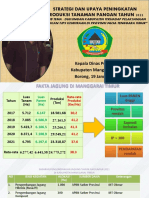 Kadis Manggarai Timur-Materi SOSIALISASI JAGUNG POLA KEMITRAAN