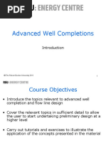 Advanced Well Completions: © The Robert Gordon University 2011