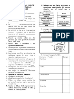 Nutrición: procesos digestivos y nutrientes