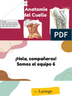 Laringe y Anatomia Superior Del Cuello