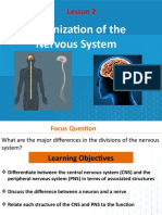 Organization of The Nervous System: Lesson 2