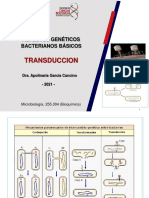 5) Transduccion BQ 21