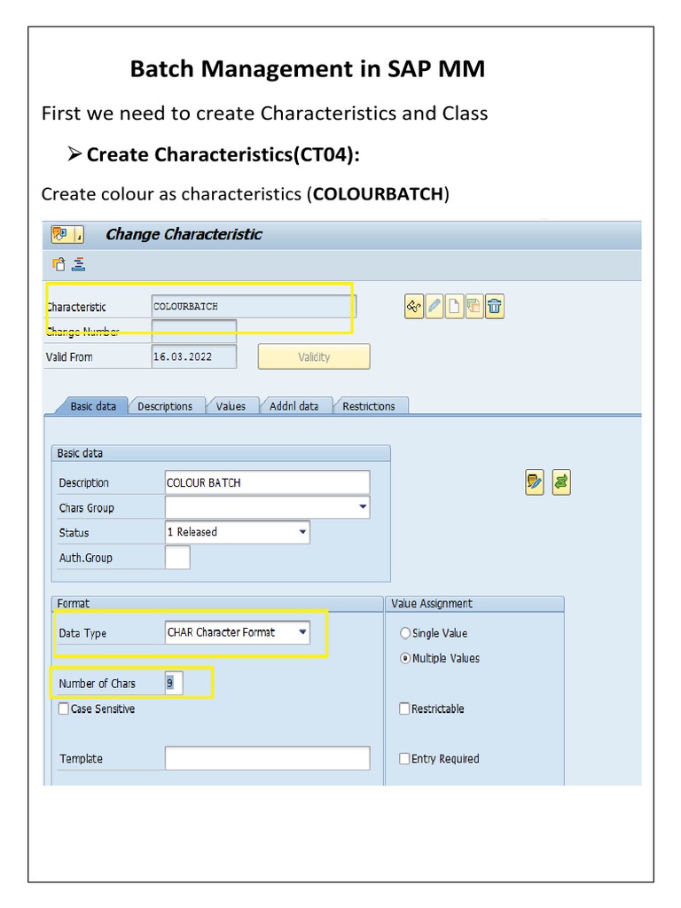 Configuring Batch Management in SAP MM | PDF | Business | Computers