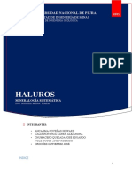 HALUROS Informe