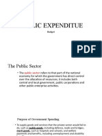 Public Expenditue