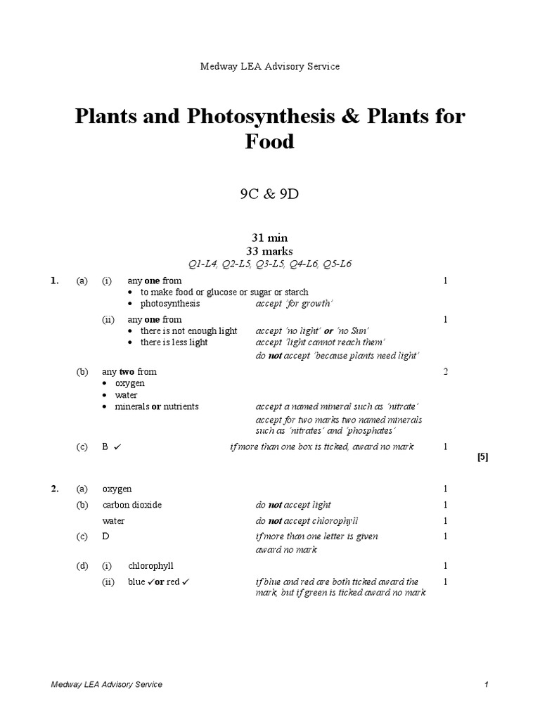 Photosynthesis Worksheet for Grade 9 | PDF | Plants | Photosynthesis