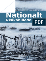 Nationalt Risikobillede 2022