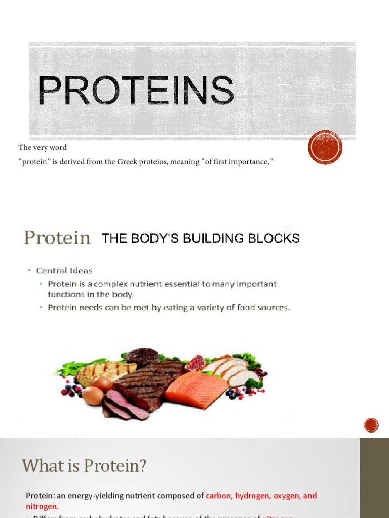 Proteins PDF Proteins Cell (Biology)