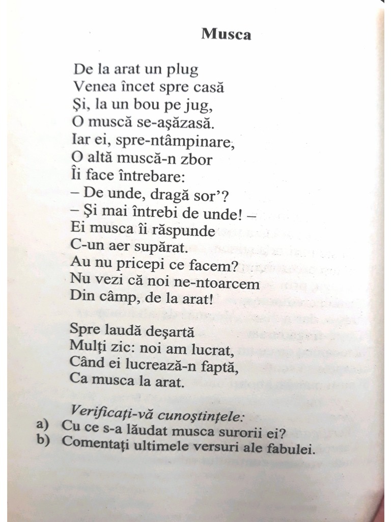 Musca | PDF