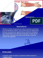 Manual de Patologia Quirurgica (Quemaduras) (2)