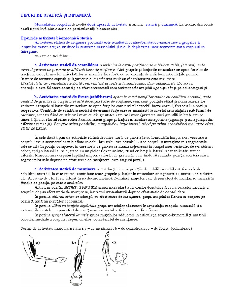Tipuri de Statica Si Dinamica | PDF