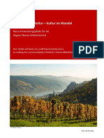 2019 Studie Kulturwandel Region Oberes Mittelrheintal-Davide Brocchi
