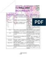 Cuadro Comparativo Celula Eucariota y Procariota