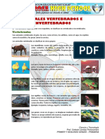 26-08-20 - Ciencia y Tecnología - Animales Vertebrados e Invertebrados