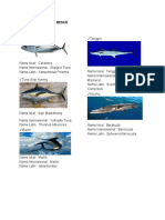 5 Jenis Ikan Pe-WPS Office