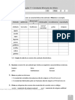 Fichas de Consolidação (7 A 10)