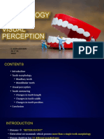 Tooth Morphology & Visual Perception